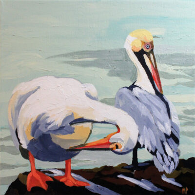 Preening Pelicans